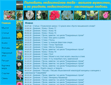 Tablet Screenshot of bumerango.ru
